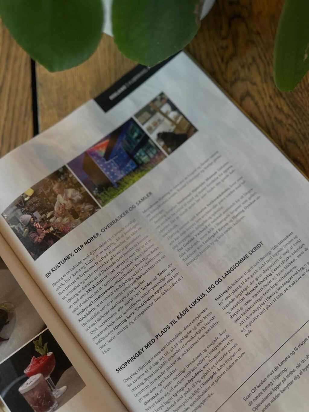 Instagram post from hjoerring_alliancen. This post is in position 3.