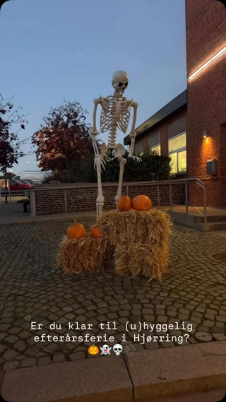 Instagram post from hjoerring_alliancen. This post is in position 3.